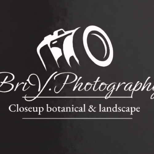 BriY Photography