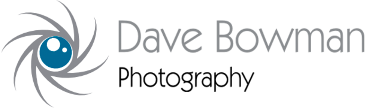 Dave Bowman