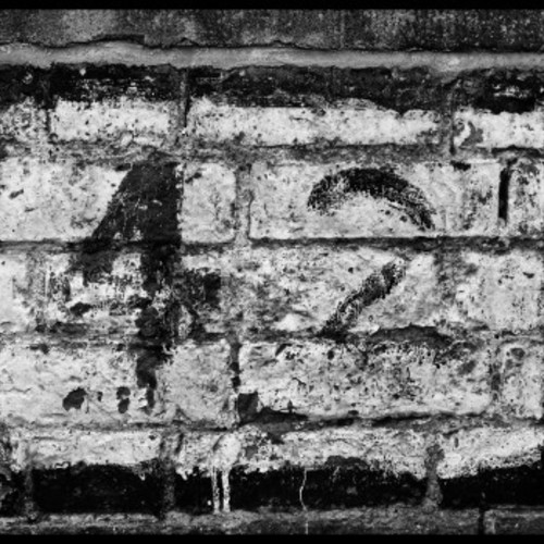 Negative 42 Photography