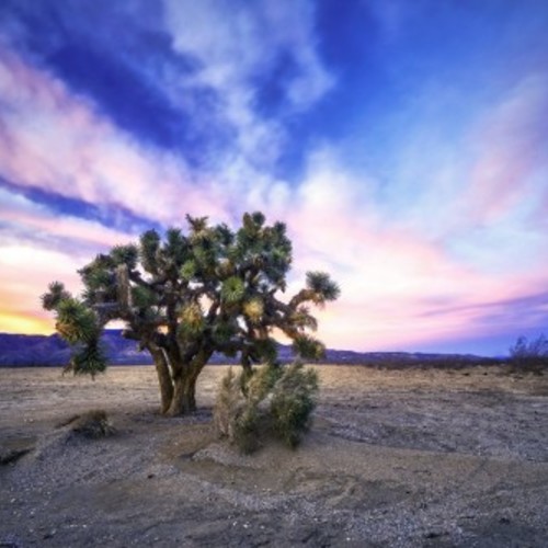 Boehm Photography