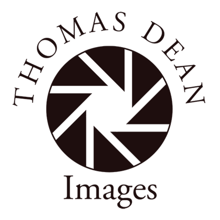 Thomas Dean