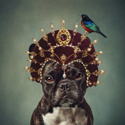 Elizabeth Luce Photography