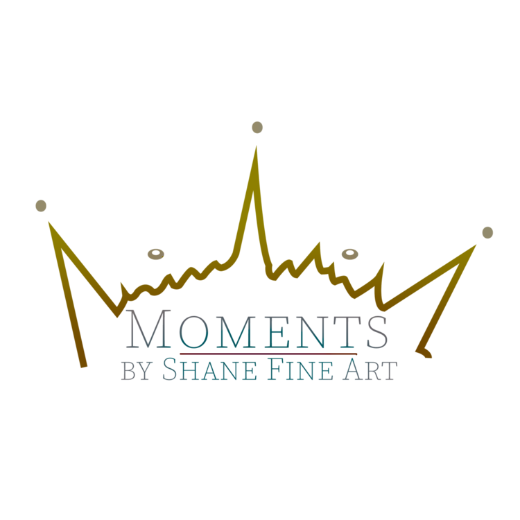 Moments By Shane