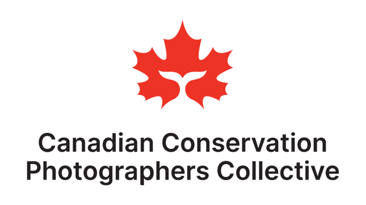 Canadian Conservation Photographers Collective