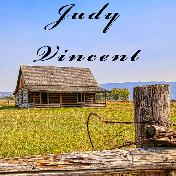 Judy Vincent Photography