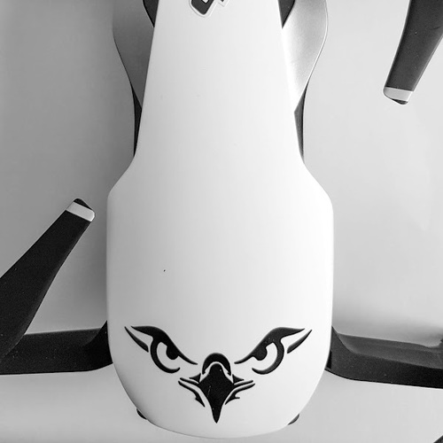 The Mavic Eagle