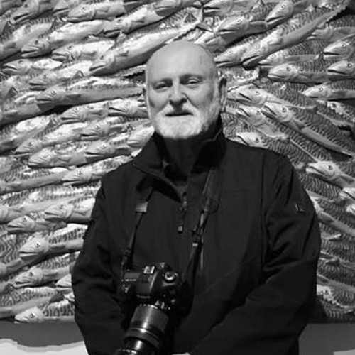 Sid Webb