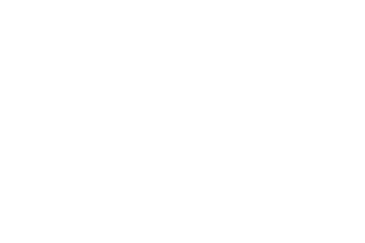 JazzArt Photography