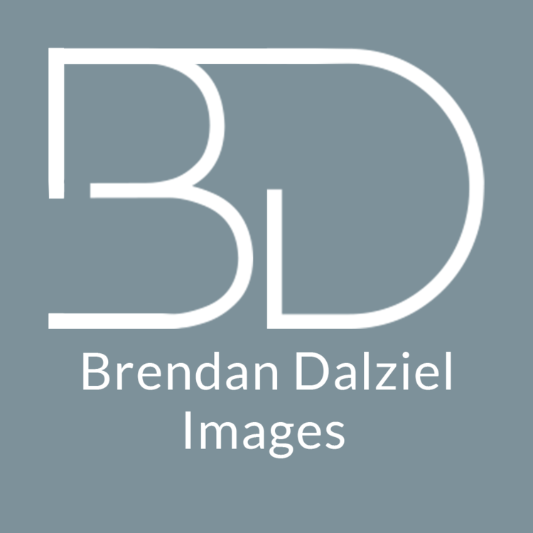 Brendan Dalziel
