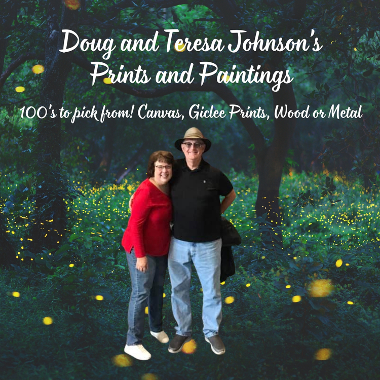Doug and Teresa Johnson