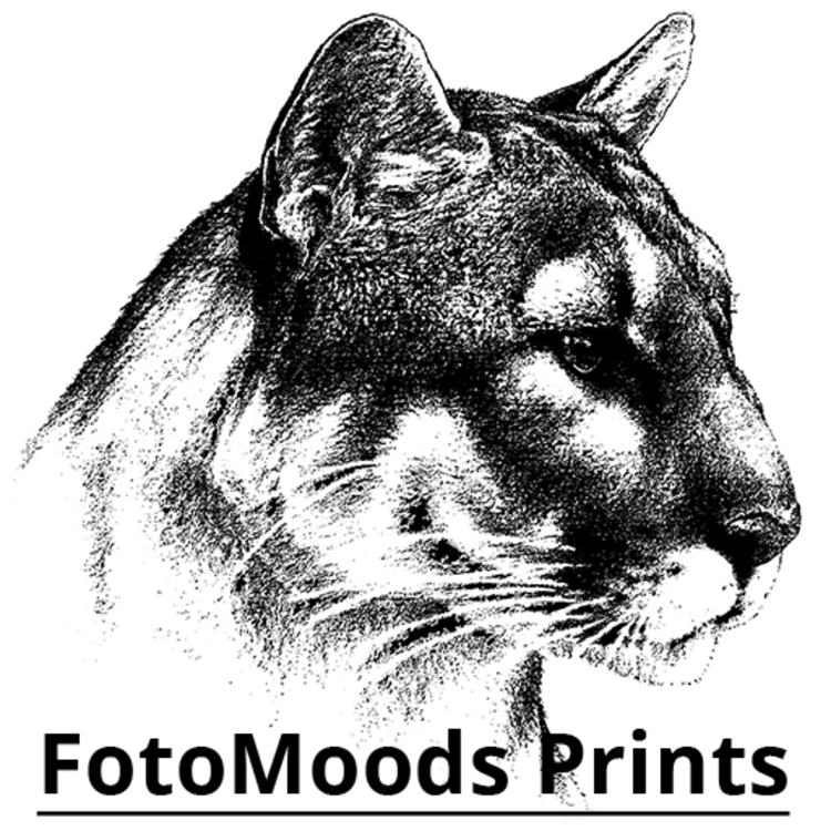 FotoMoods