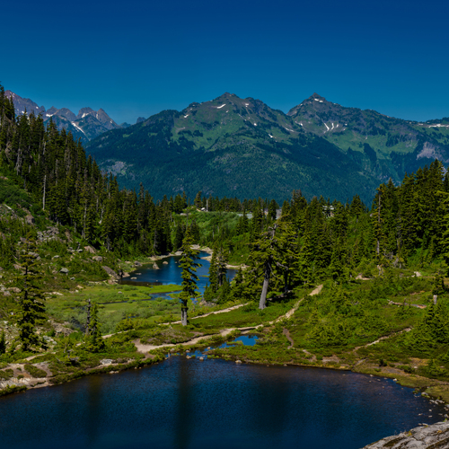 Randy Roy Photography