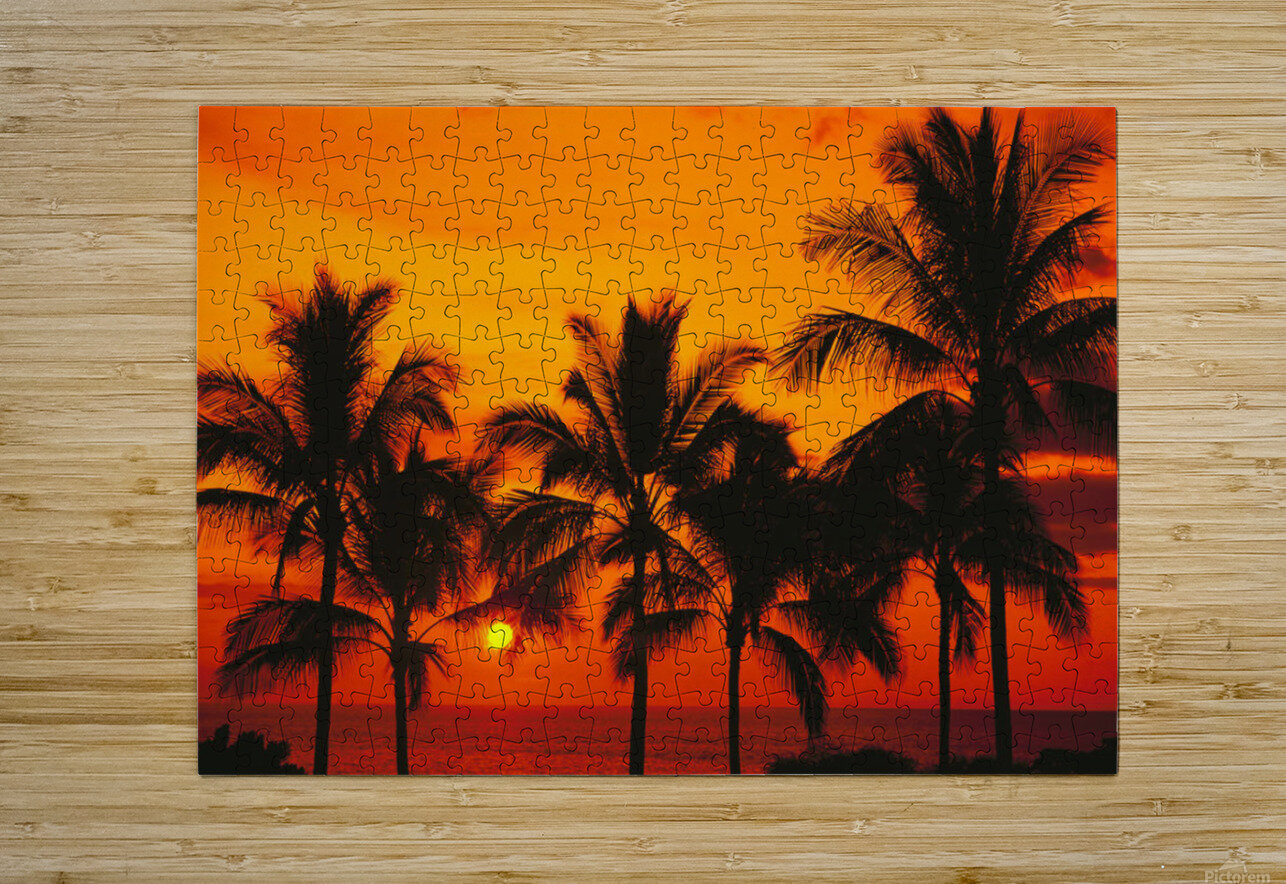 Rows Of Palm Trees Silhouetted By Fiery Orange Sunset Over Ocean