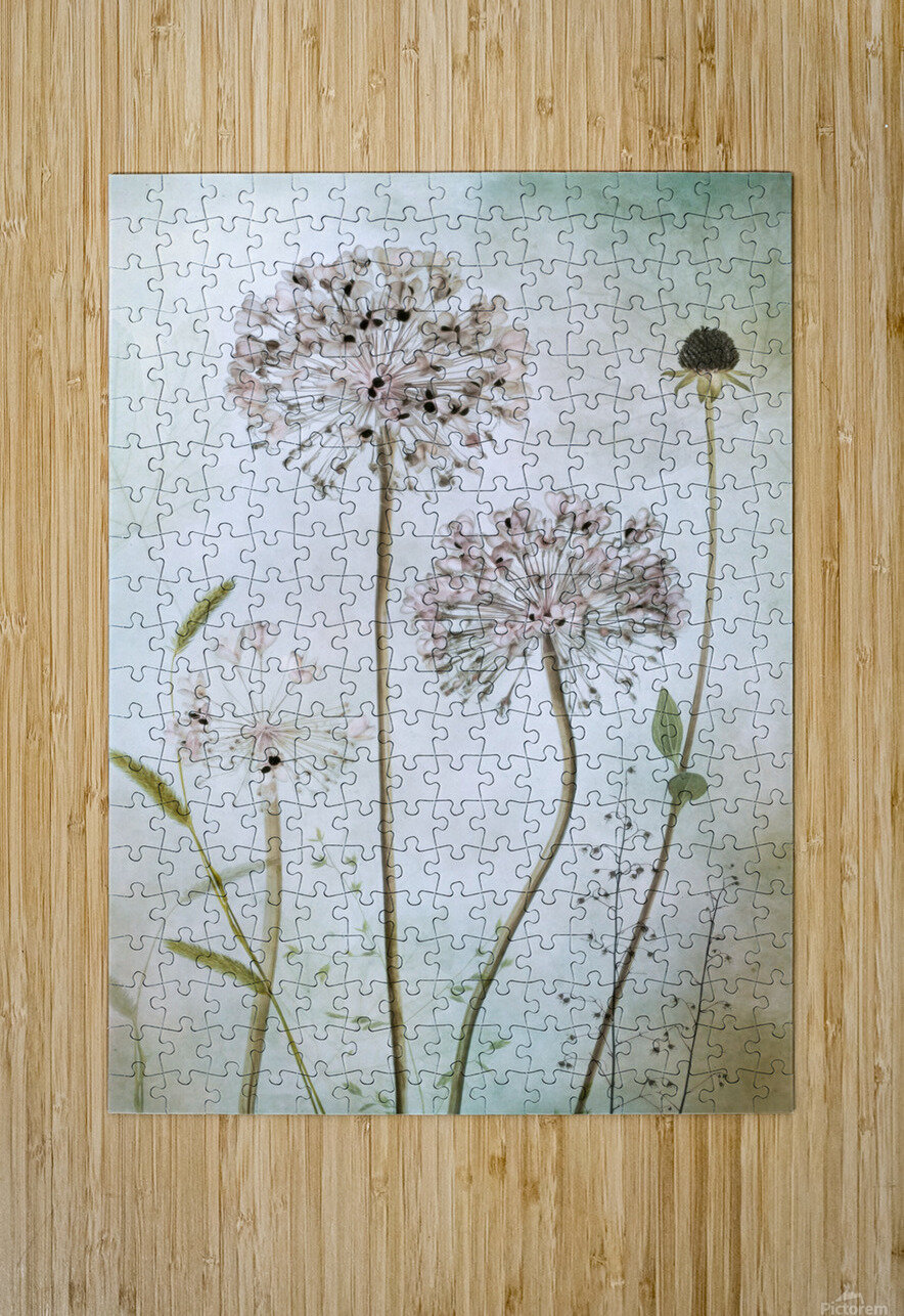 Allium 1x Puzzle printing