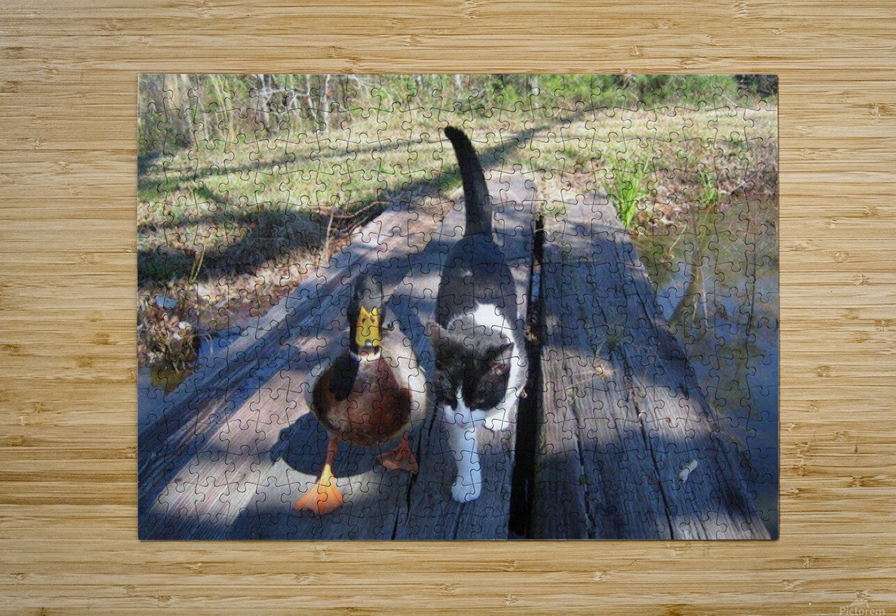 JPT 2012  James Cooke Puzzle printing