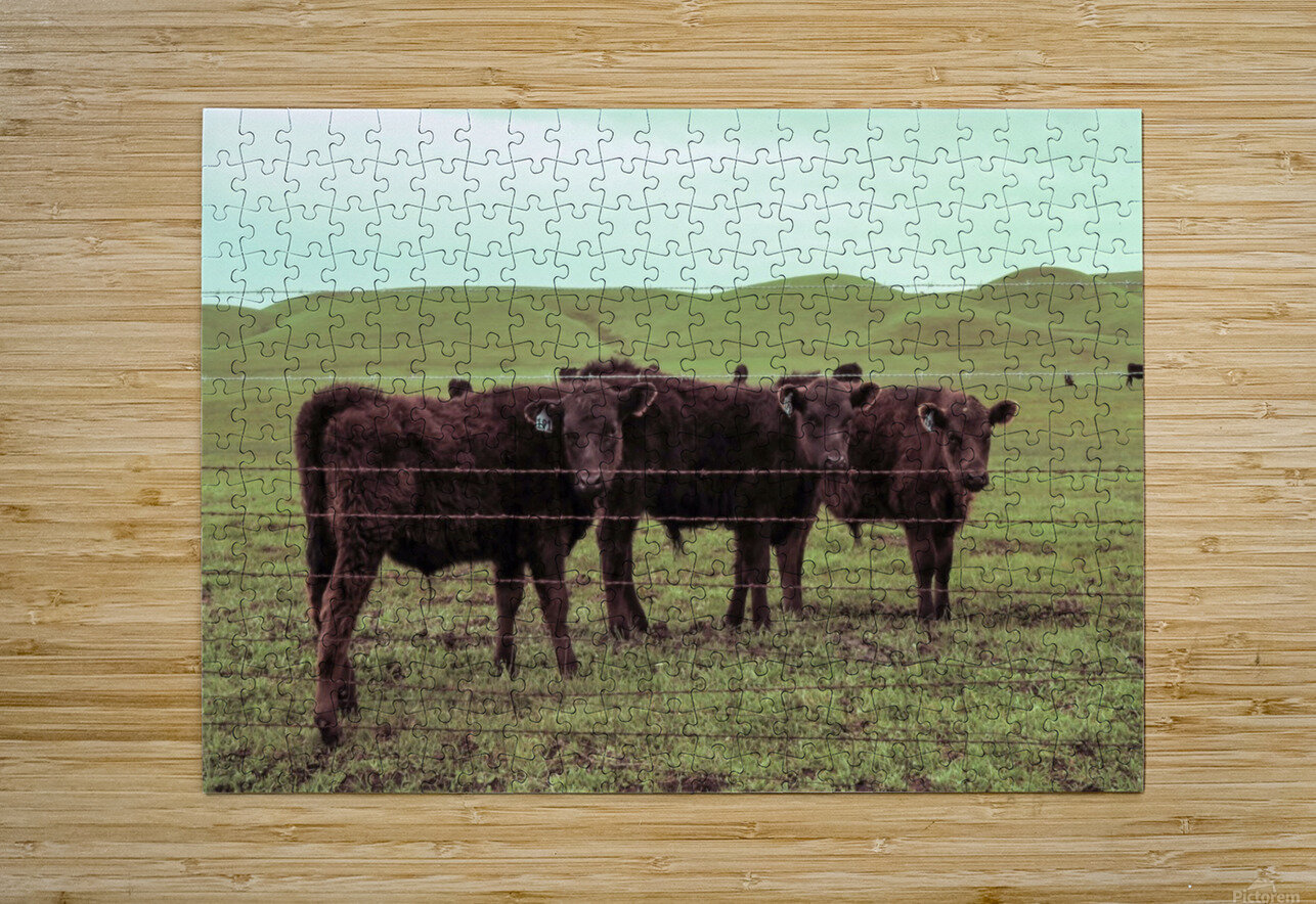 20190228 IMG_3567 2 Jodi Webber Puzzle printing