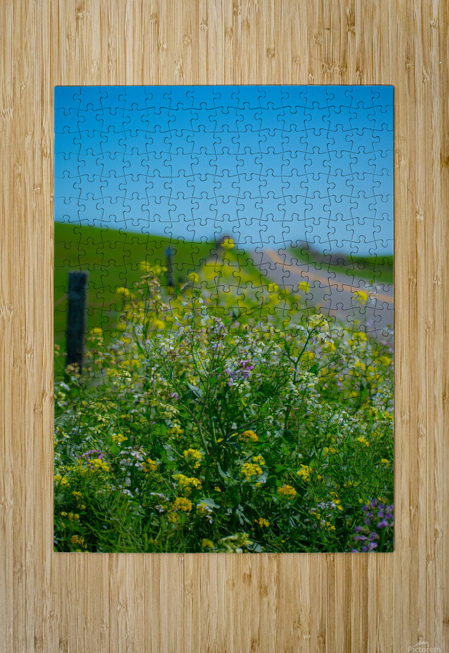 20190330 DSC_0592 Jodi Webber Puzzle printing