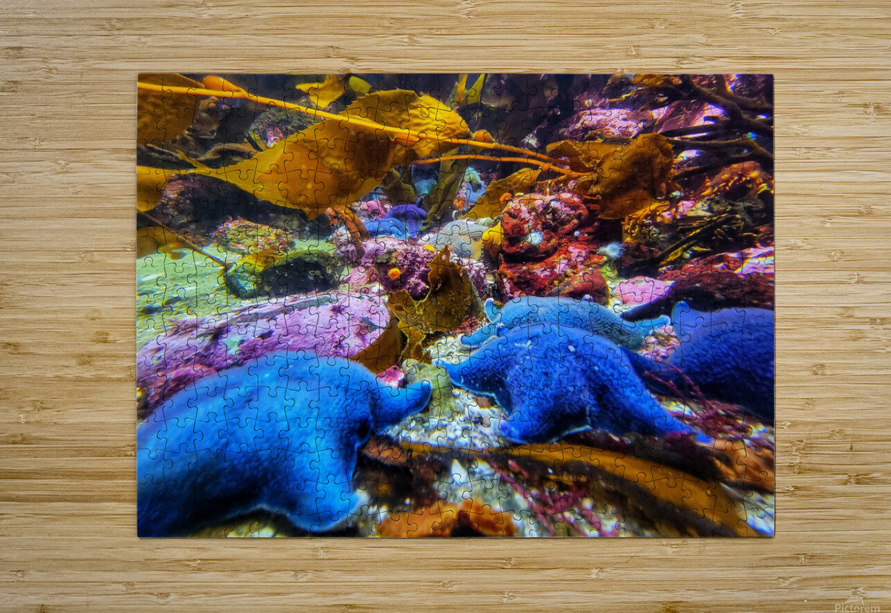 Starfish in the ocean Adam Copp Puzzle printing