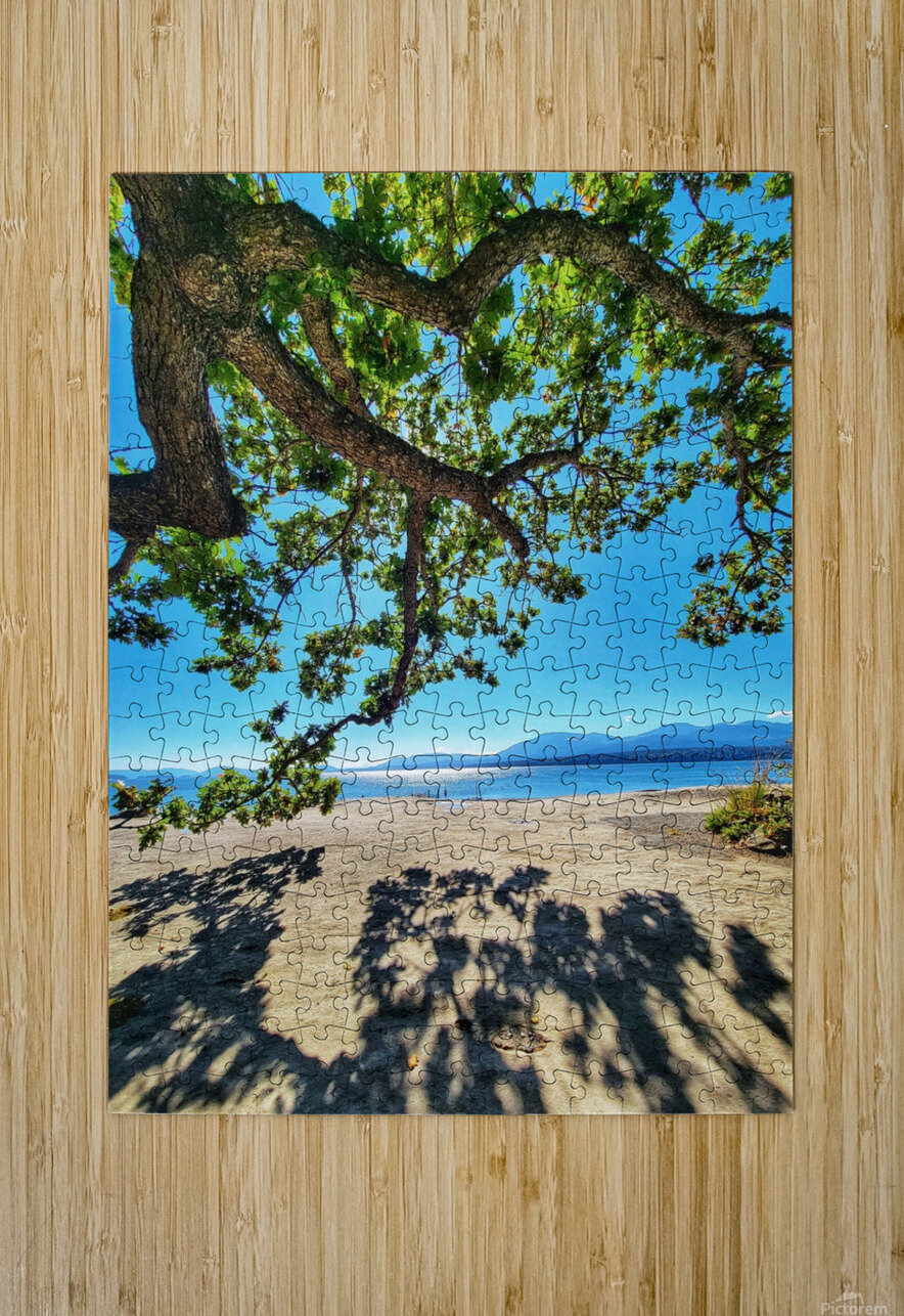 Tree and Shadow - Full Color Adam Copp Puzzle printing