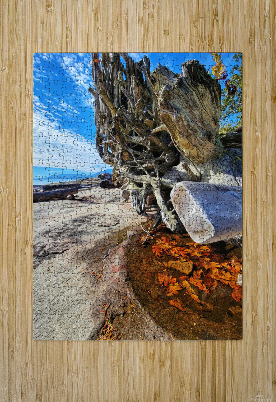 Ocean Leaves Adam Copp Puzzle printing