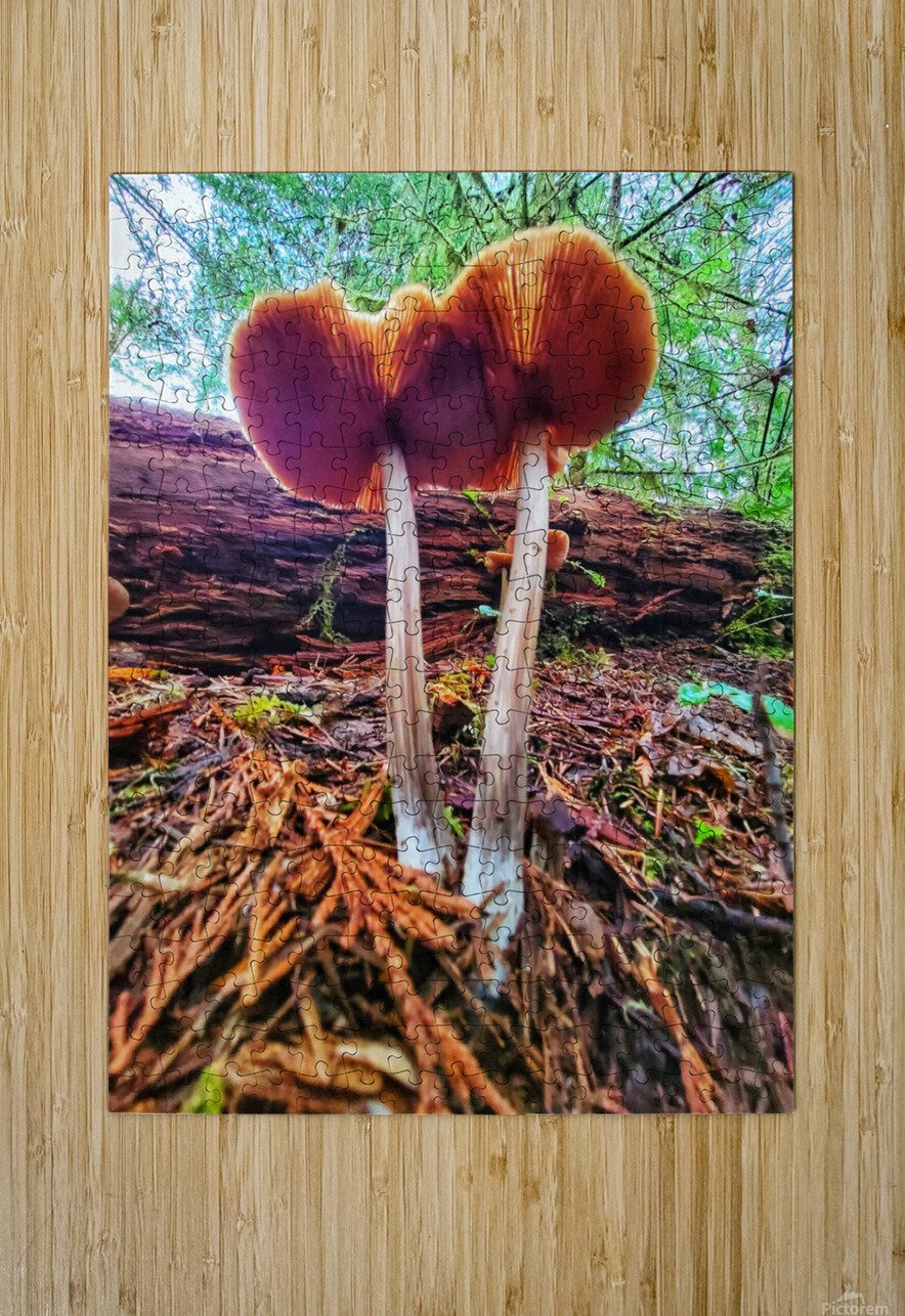Forest Mushrooms Adam Copp Puzzle printing