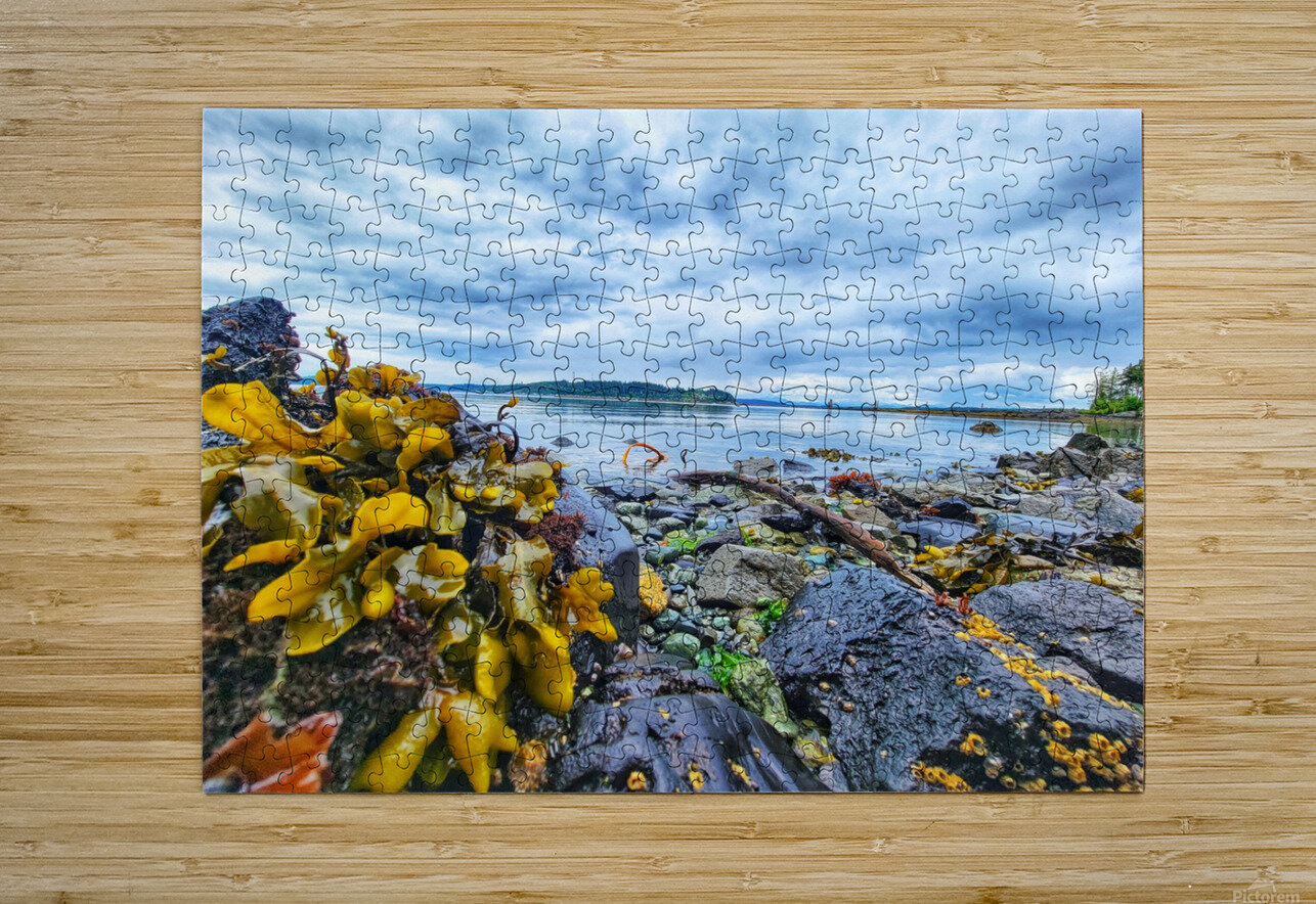 Kelp seaside in Alert Bay Adam Copp Puzzle printing
