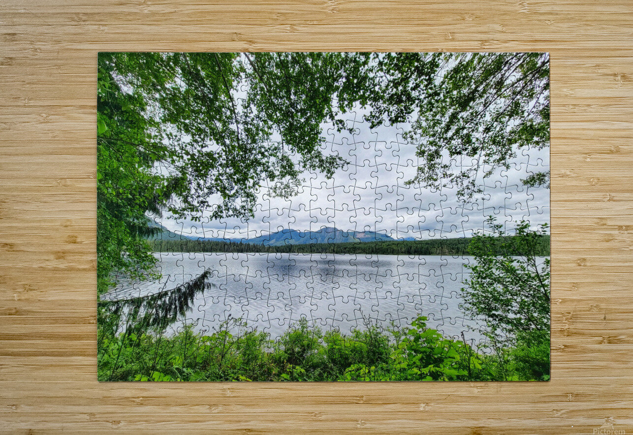 Tree Framed Nature  Adam Copp Puzzle printing
