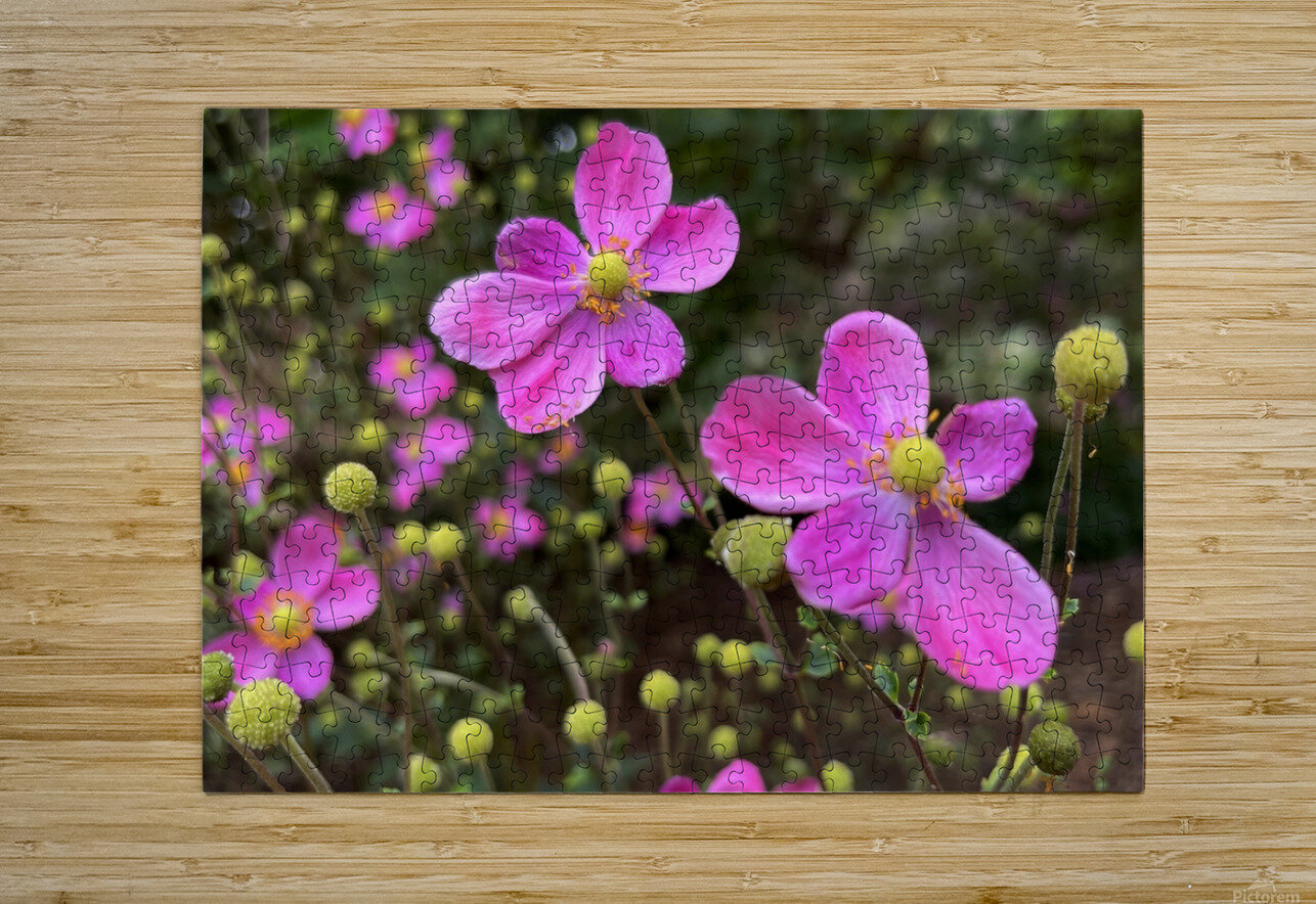 Zinnia John Byerly Puzzle printing