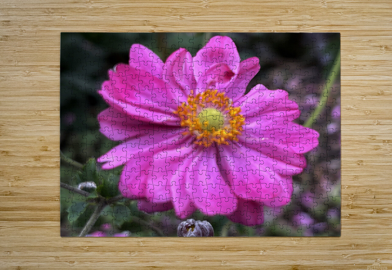 Anemone Hupehensis ‘Prinz Heinrich’ John Byerly Puzzle printing