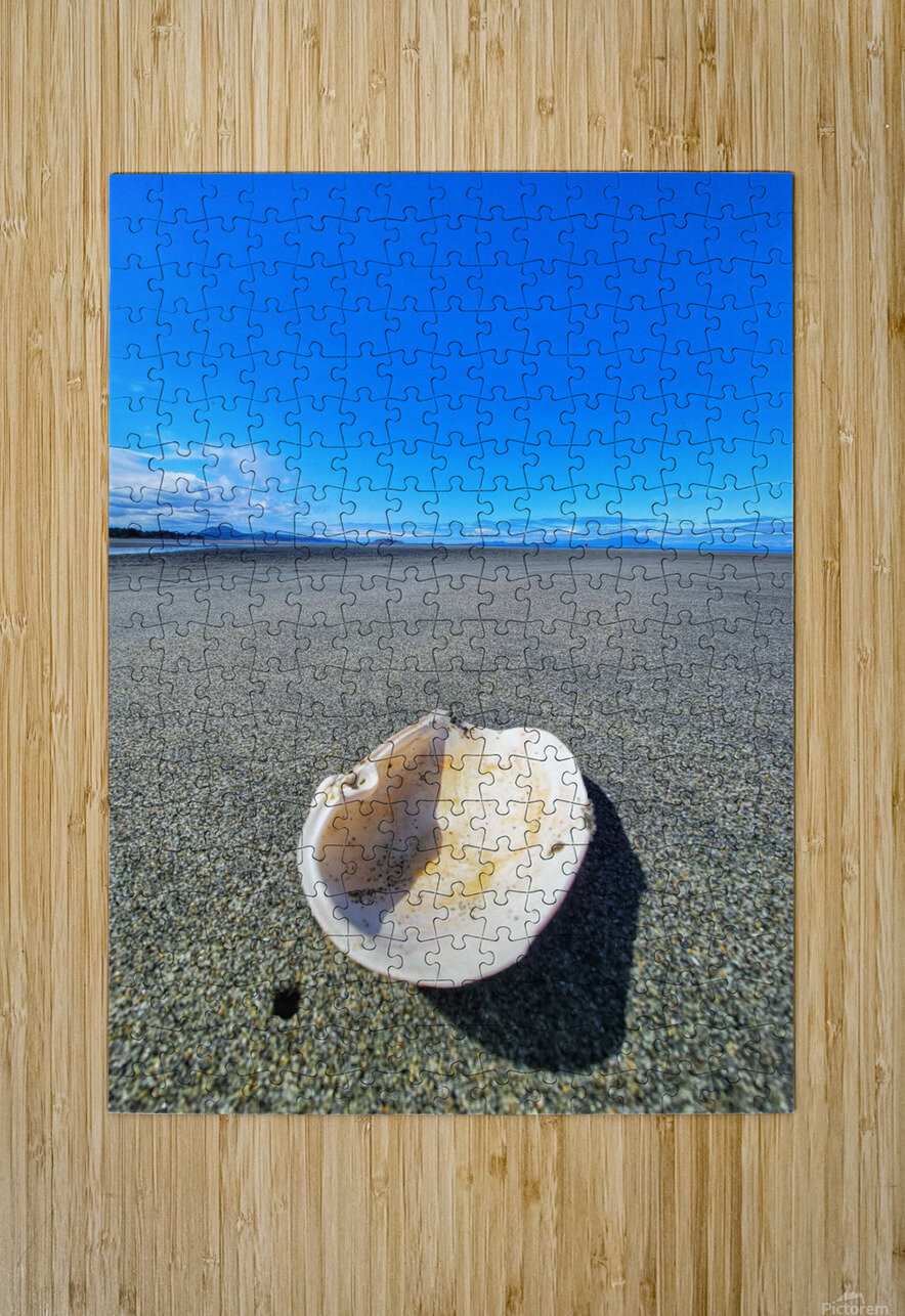 Seashell Adam Copp Puzzle printing