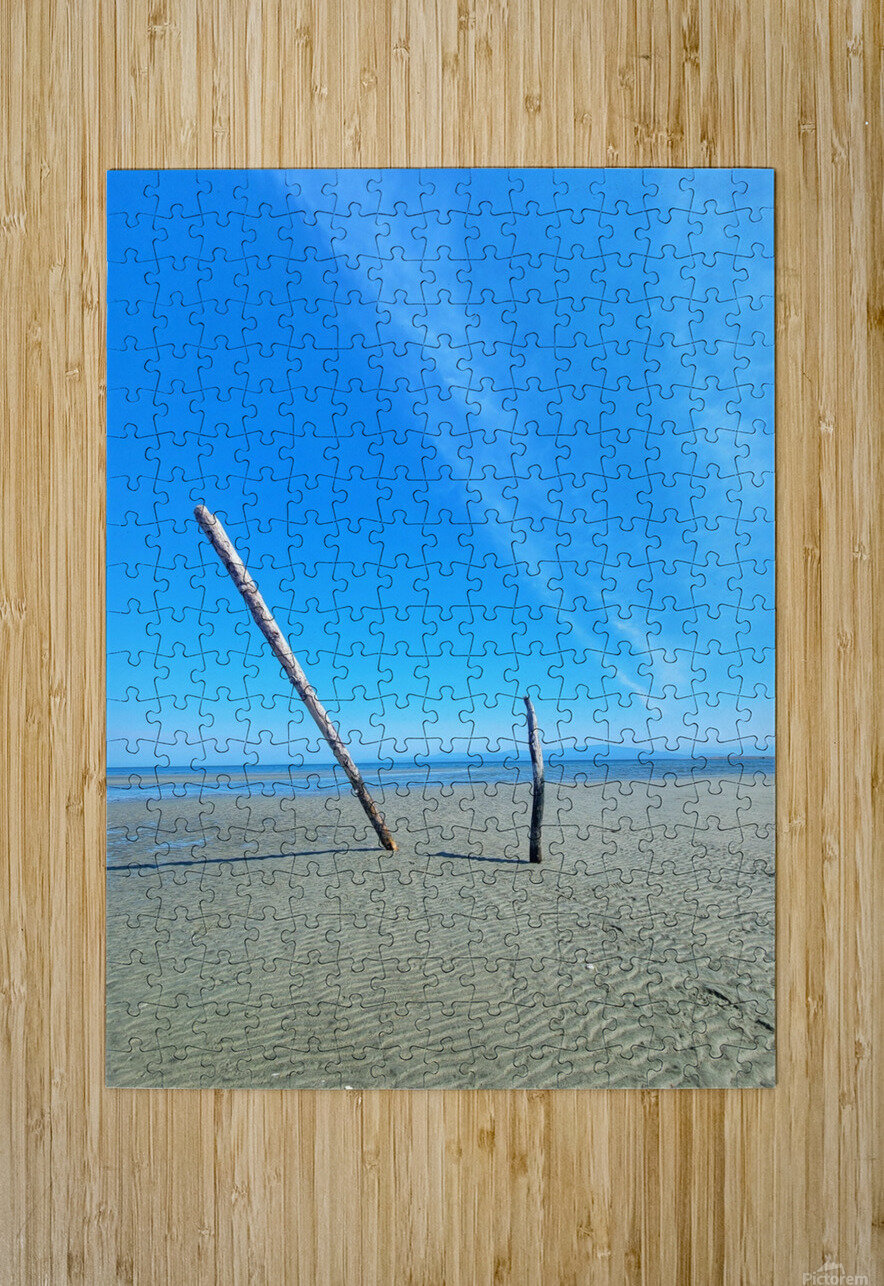 Beach Trees Adam Copp Puzzle printing