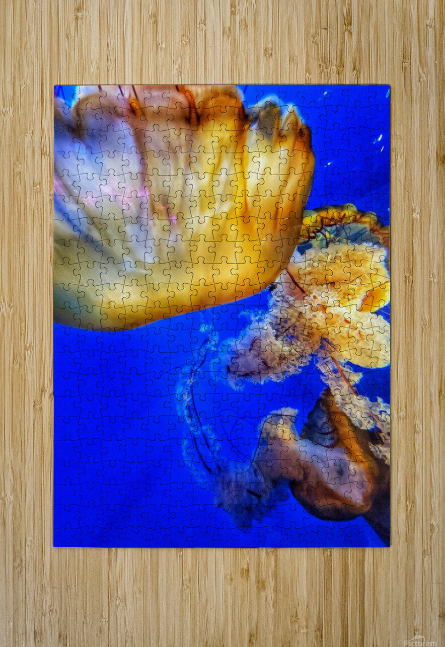Underwater Jellyfish Adam Copp Puzzle printing
