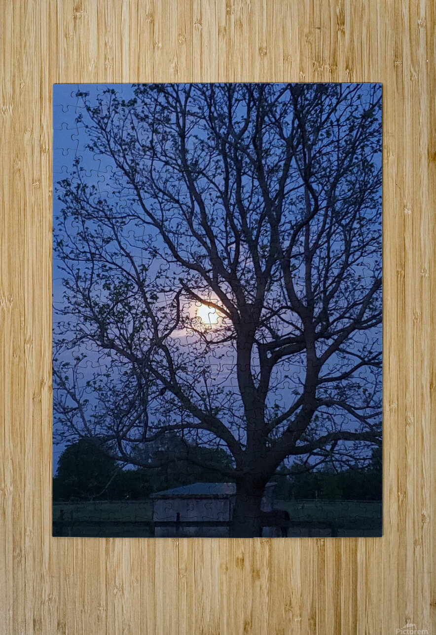 Peek a boo moon Pamela Lougheed Photography Puzzle printing