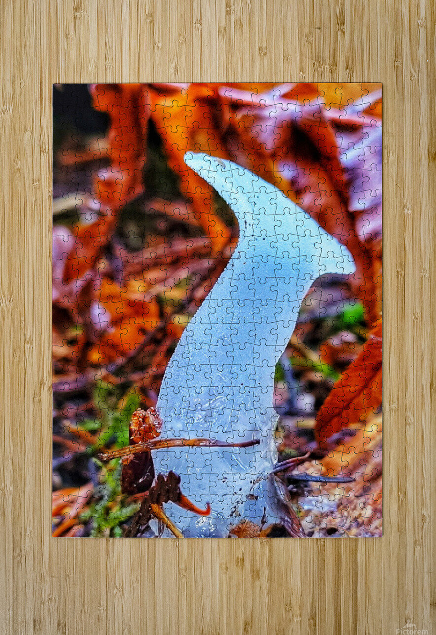 Forest Mushrooms Adam Copp Puzzle printing