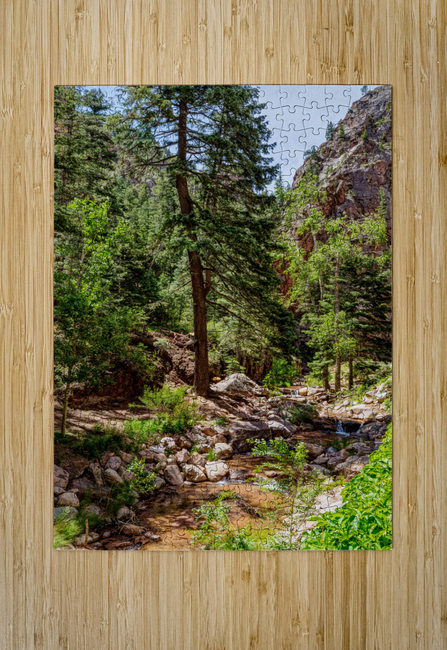 Colorado Forest Creek And Mountains Jennifer White Puzzle printing