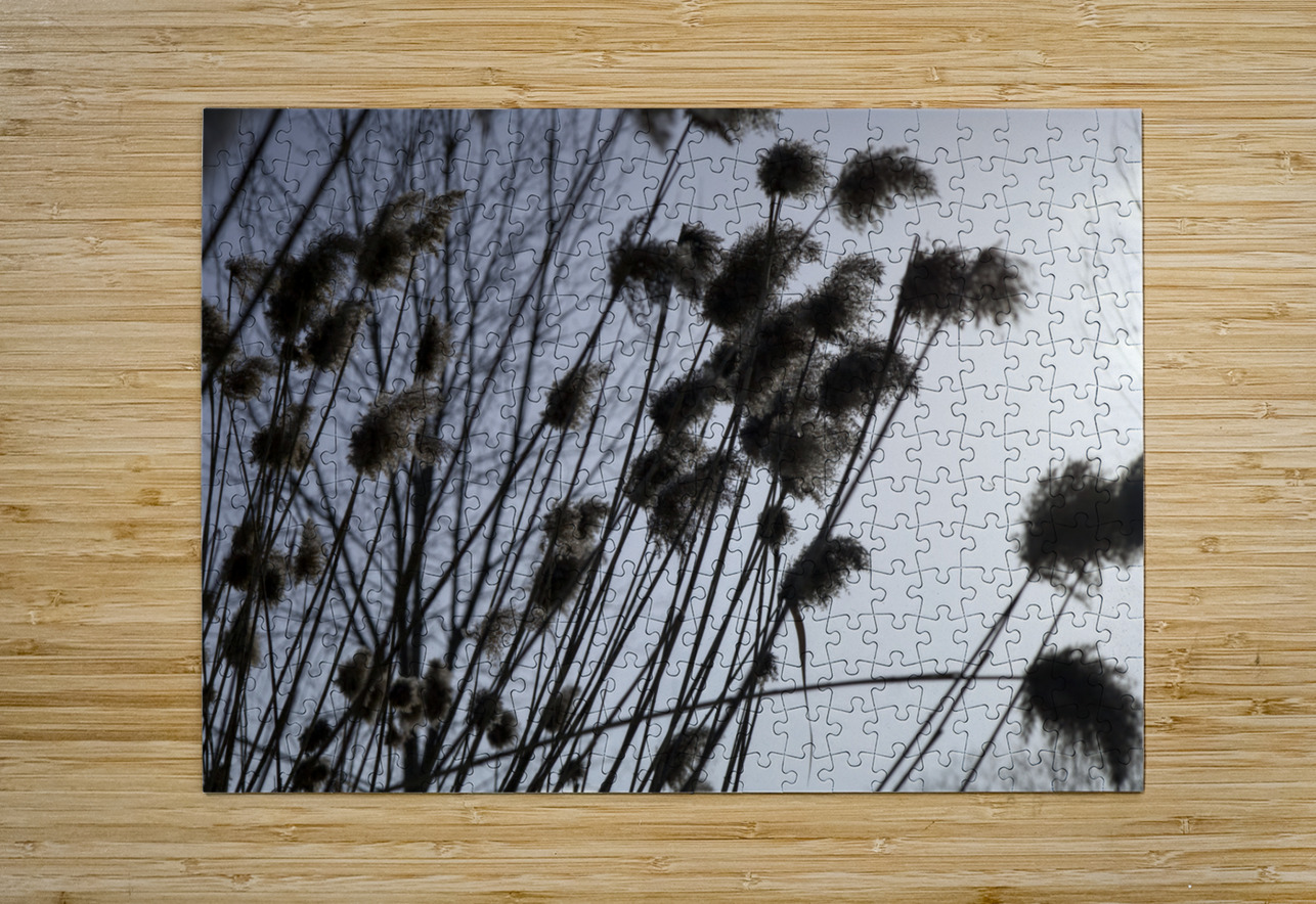 La Douceur Des Roseaux Sylvain Martin Puzzle printing