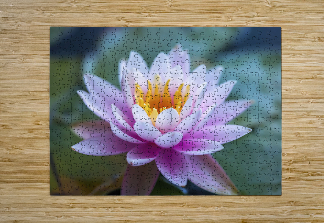 Gentle Grace Assaf Frank Puzzle printing