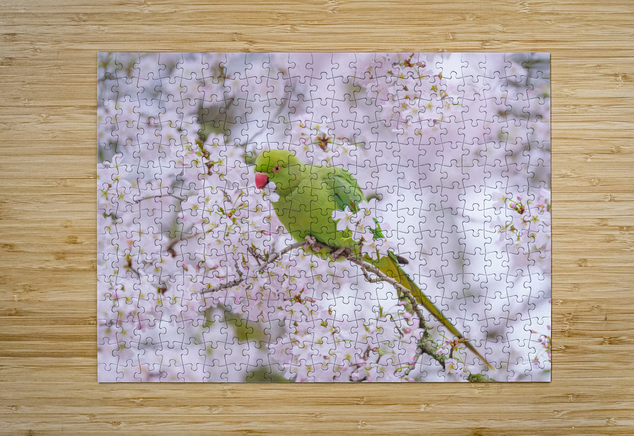 Blossom Bird Assaf Frank Puzzle printing