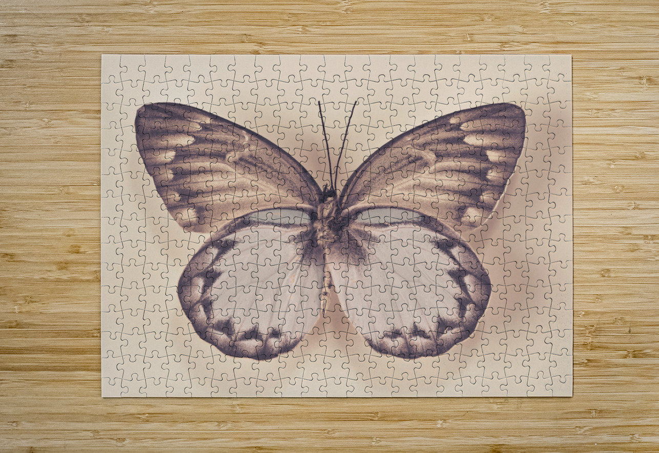 Butterfly Assaf Frank Puzzle printing