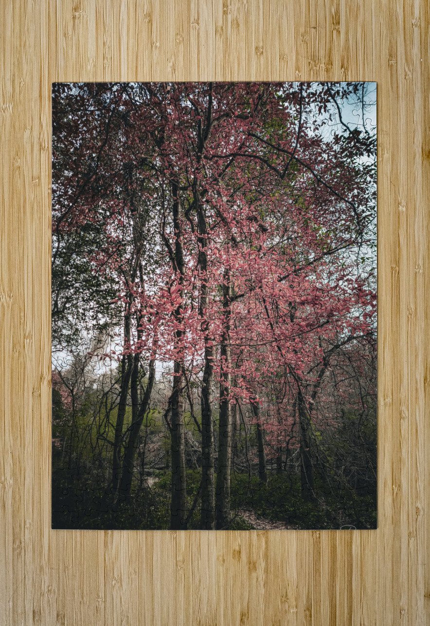 ©Charles Rain Photography Charles Rain Puzzle printing