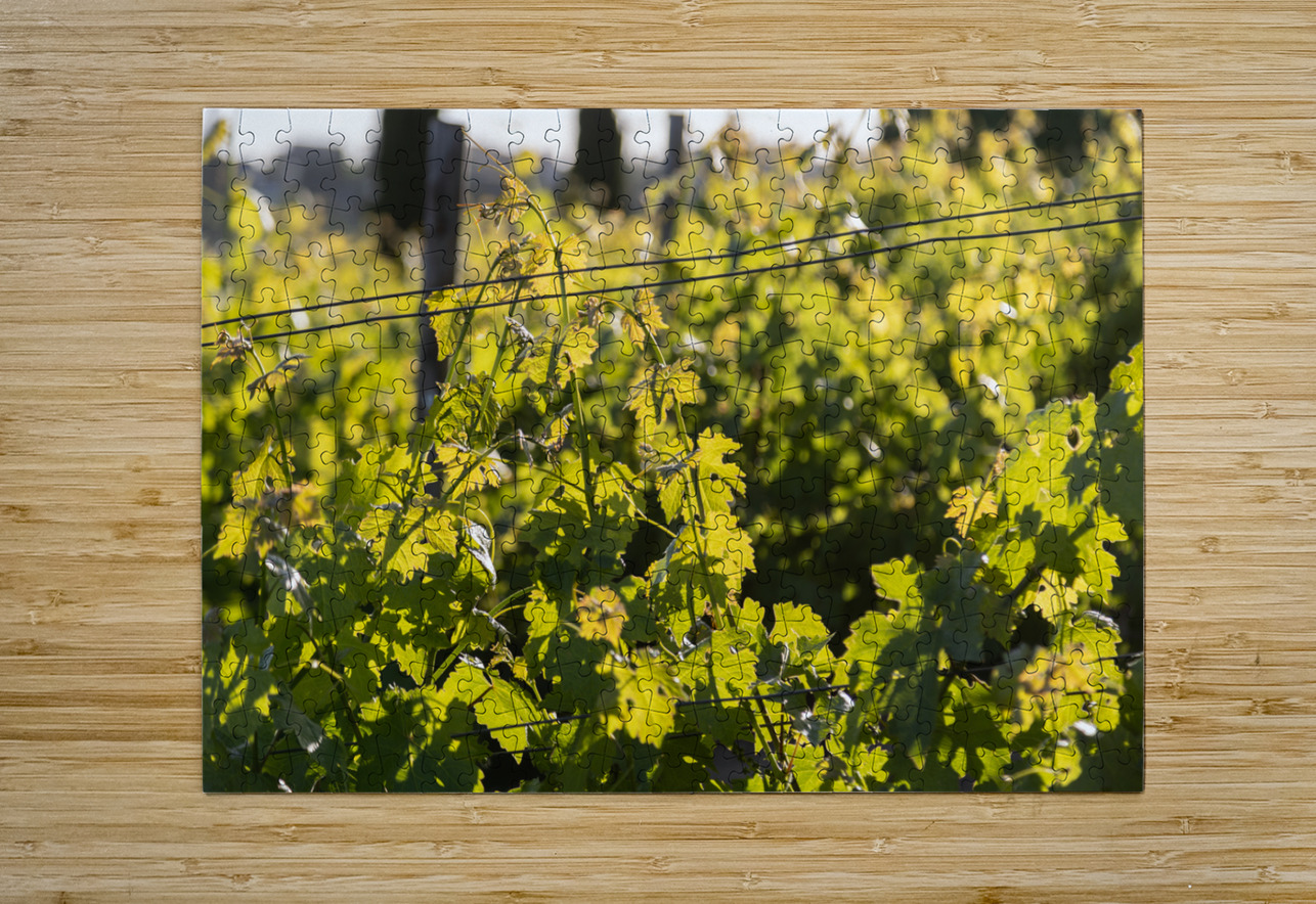 IMG 7686 YoelKoskasFineArt Puzzle printing