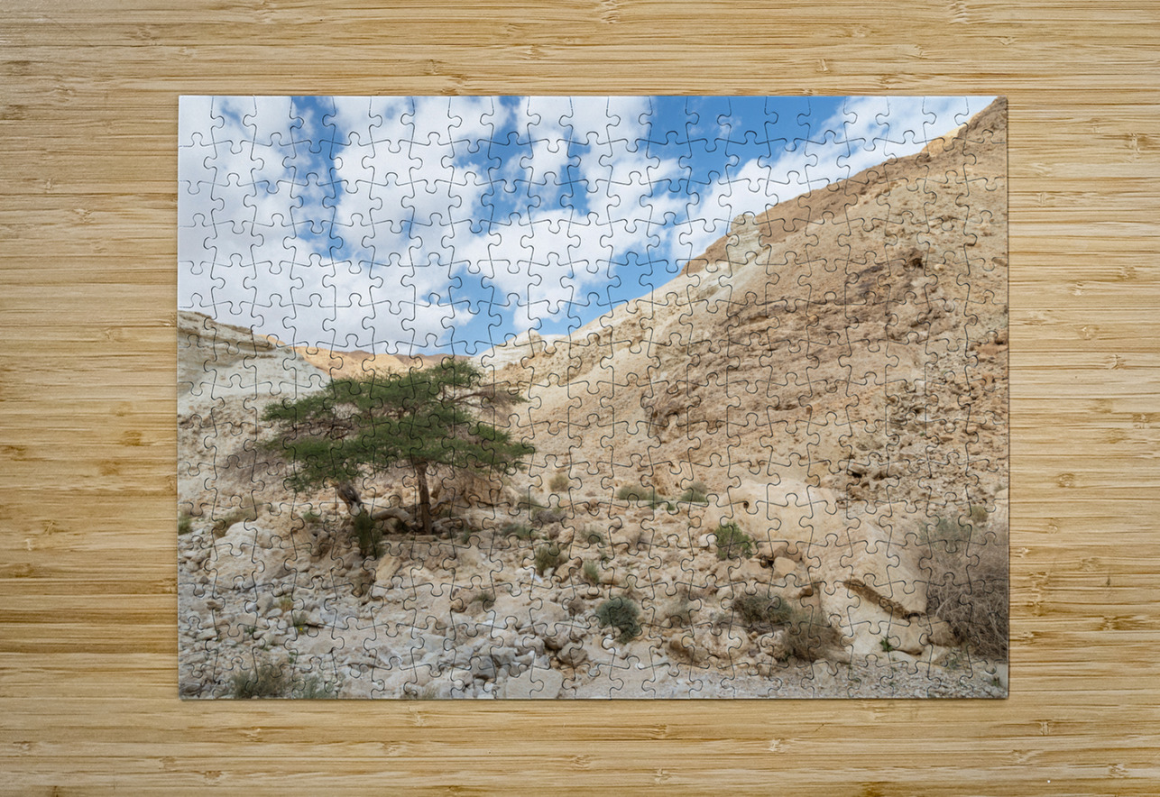 IMG 8189 YoelKoskasFineArt Puzzle printing