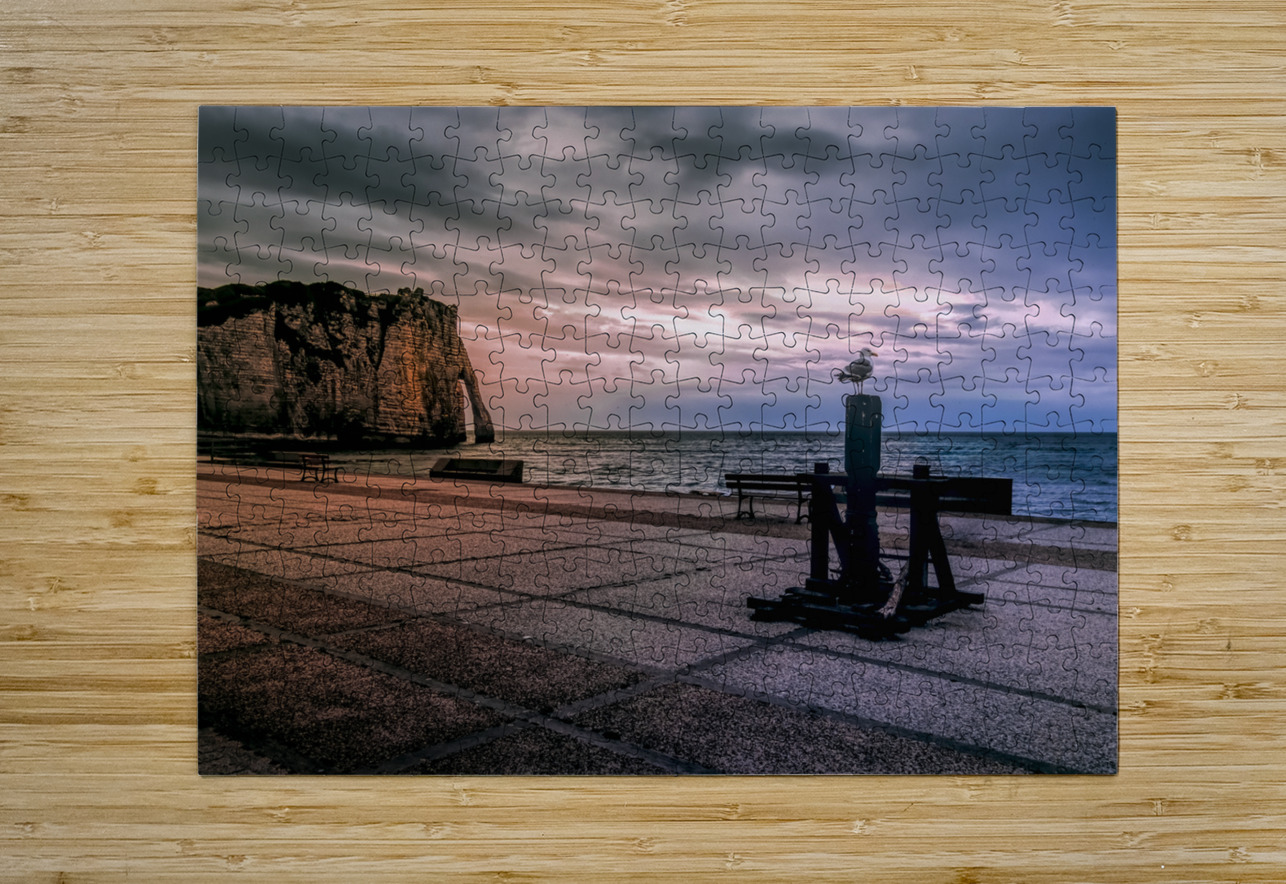 Seagull looking his Normandy Cliffs at Sunset Norma Brandsberg Photography Puzzle printing