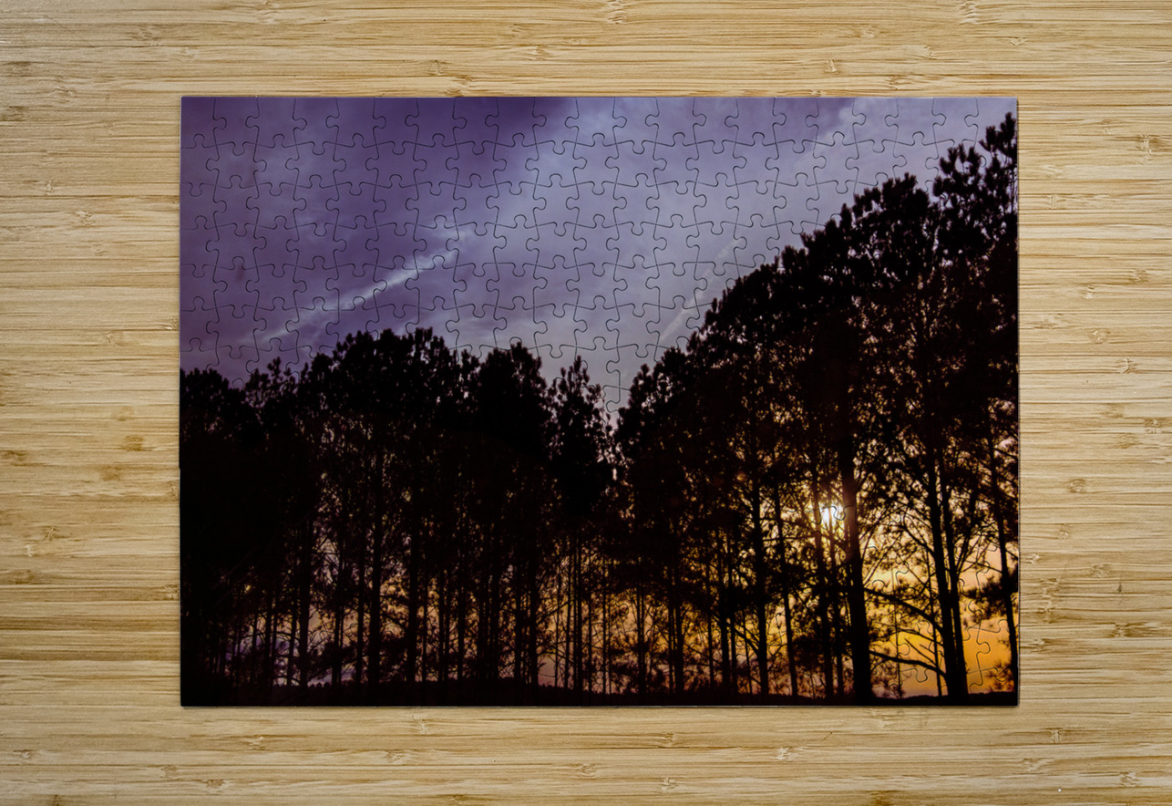 Peeking Through Trees Norma Brandsberg Photography Puzzle printing