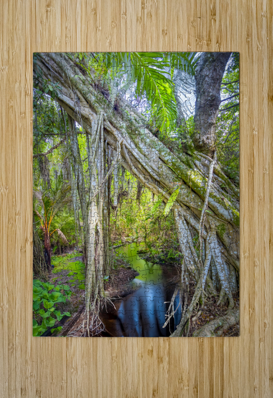 A Day at Banyan Creek Visual Voyages Fine Art Puzzle printing