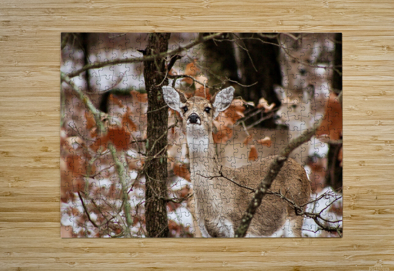 Winter doe Sunset Chasin Adventure Photography Puzzle printing