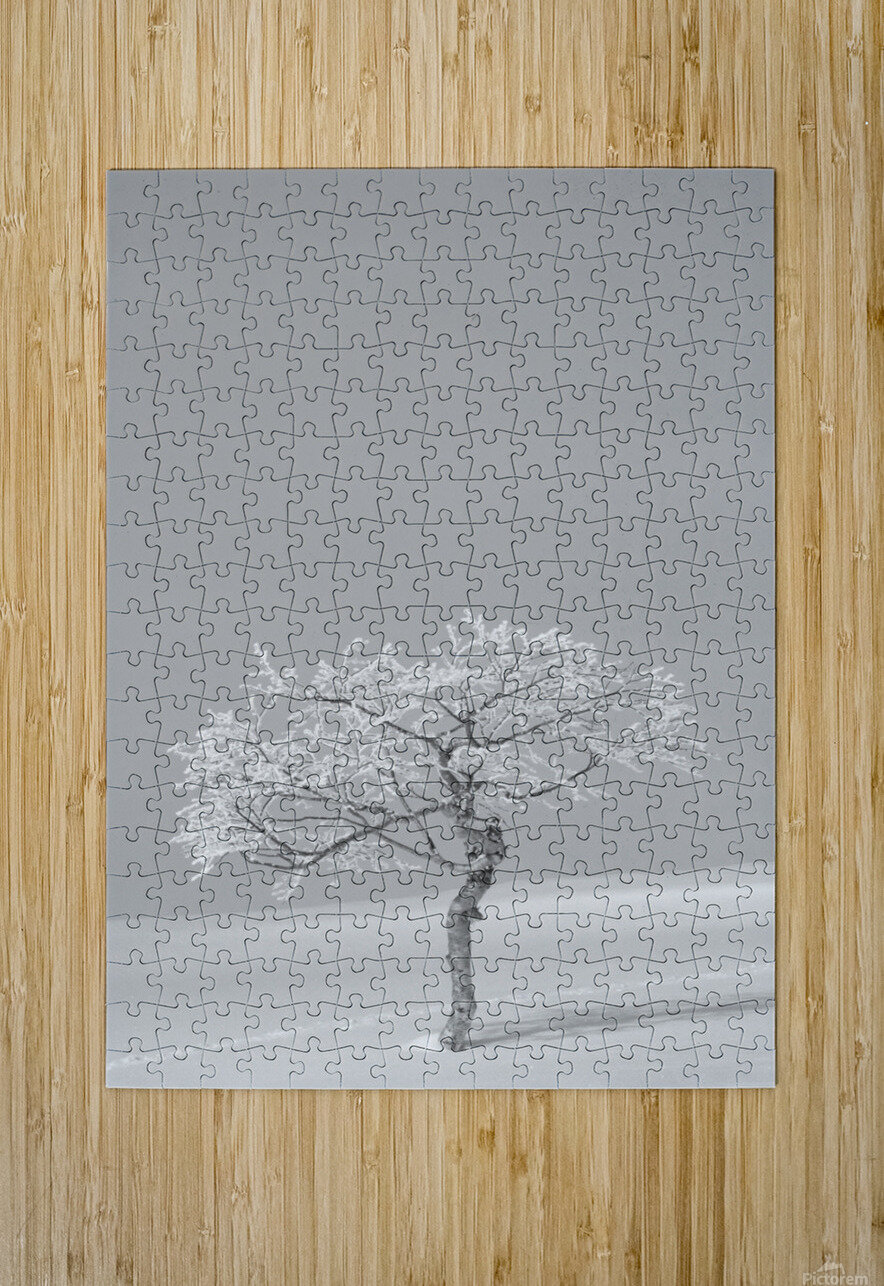 Lonesome Trail Alex Fukuda Puzzle printing