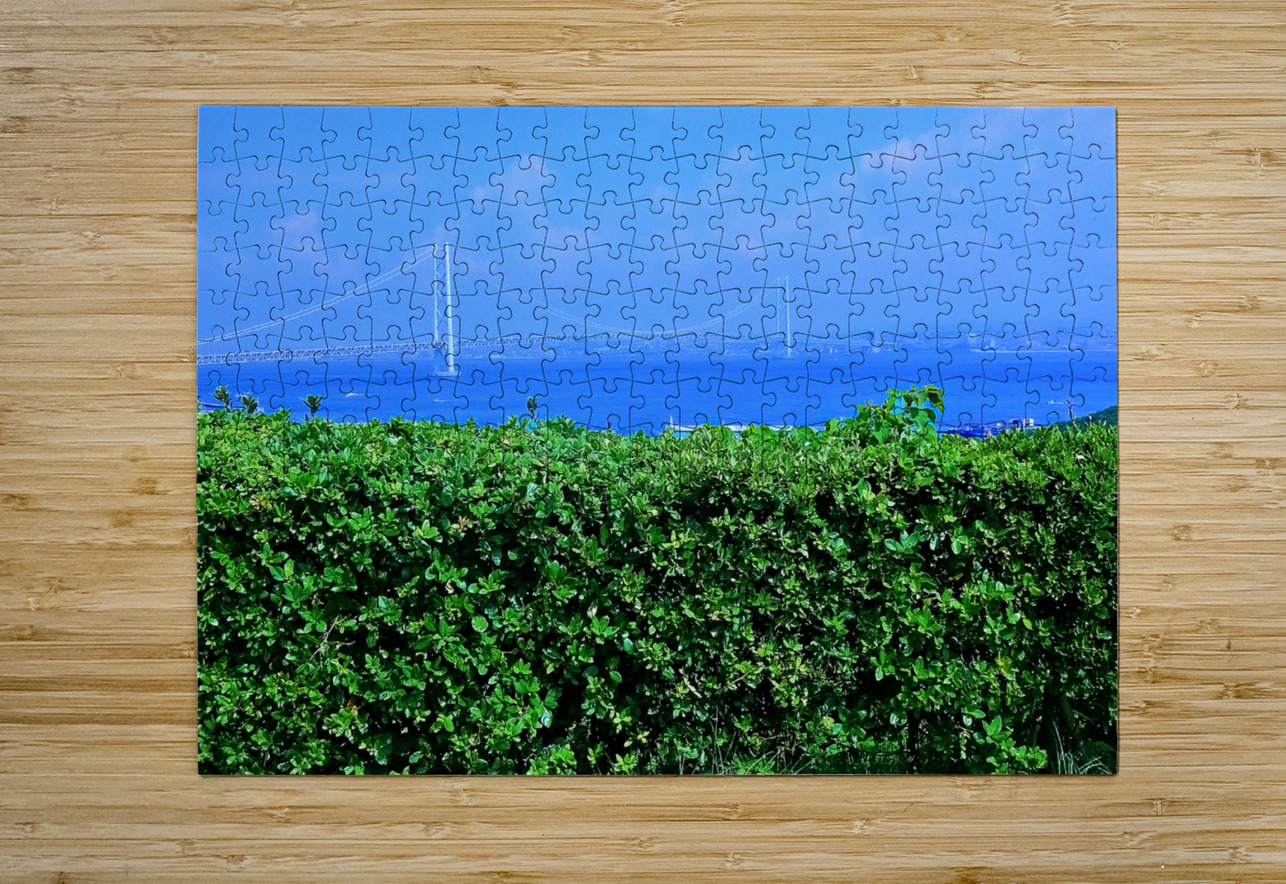 Japan-NP - Awaji Hanasajiki Bridge 02 Clement Tsang Puzzle printing