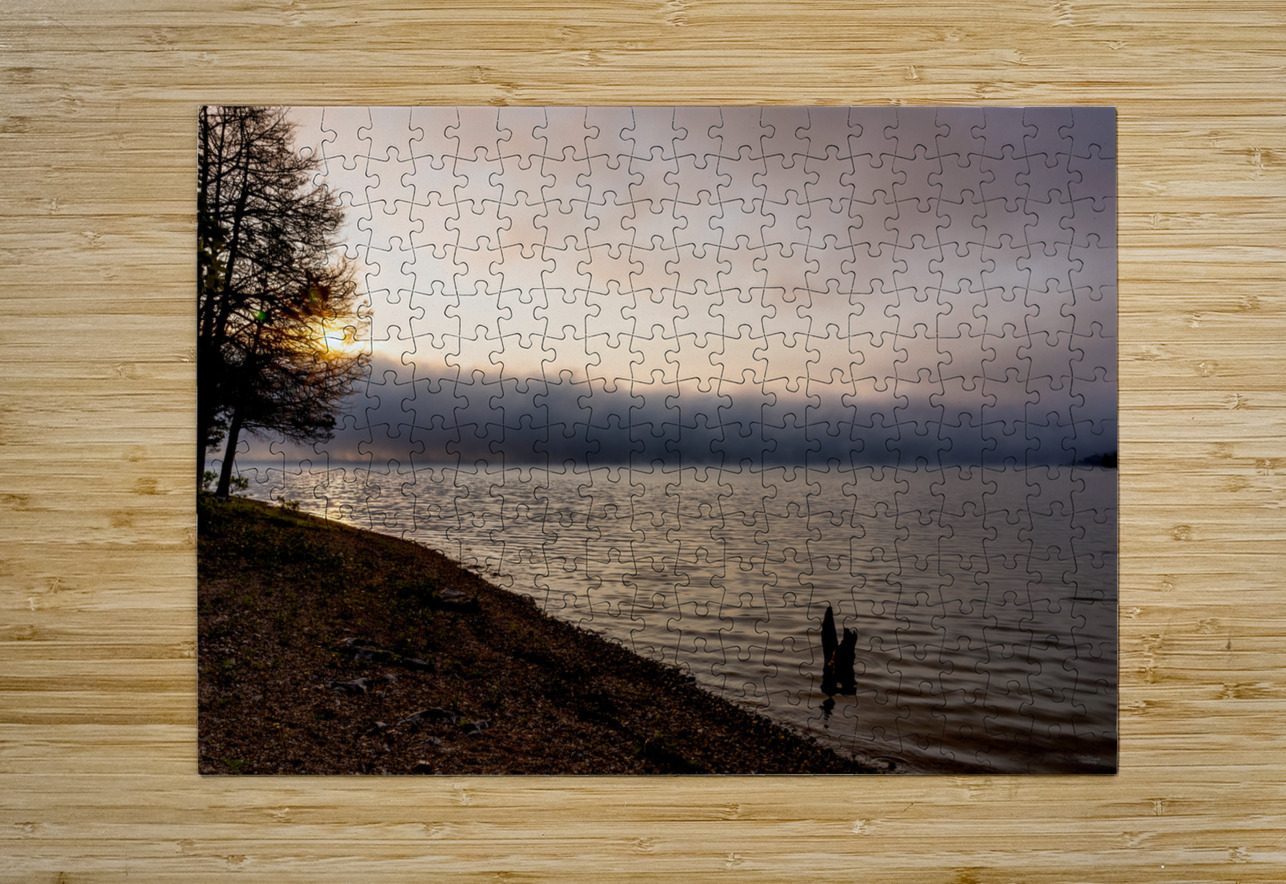Tree Stump Snap By The Shoreline Jennifer White Puzzle printing