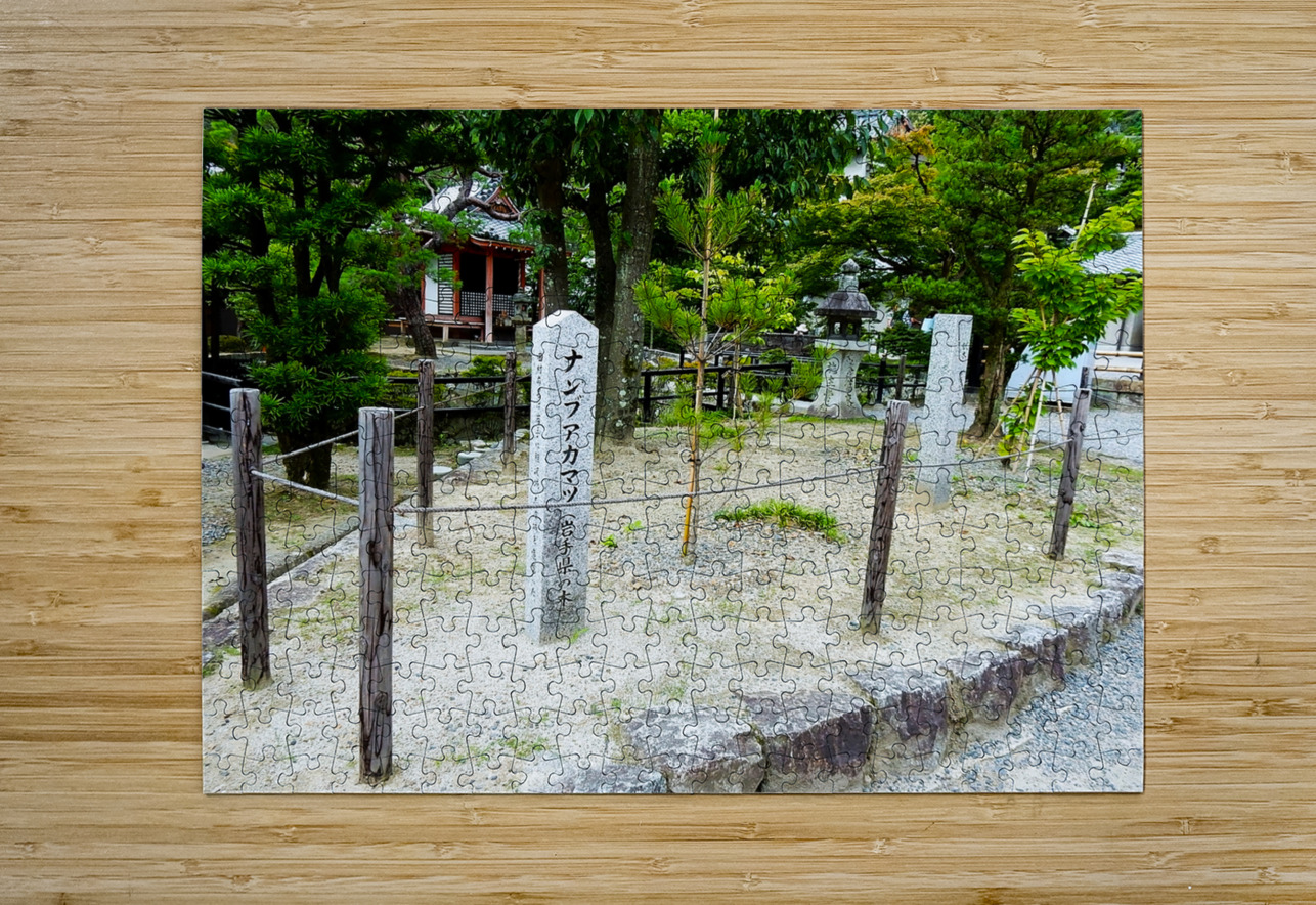 Japan-AB - Special Sign on the way Clement Tsang Puzzle printing